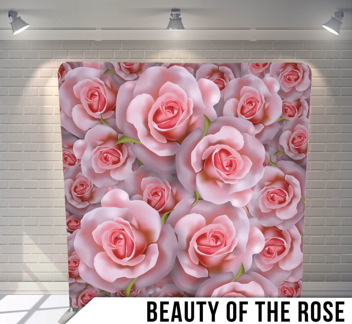 Beauty Of The Rose